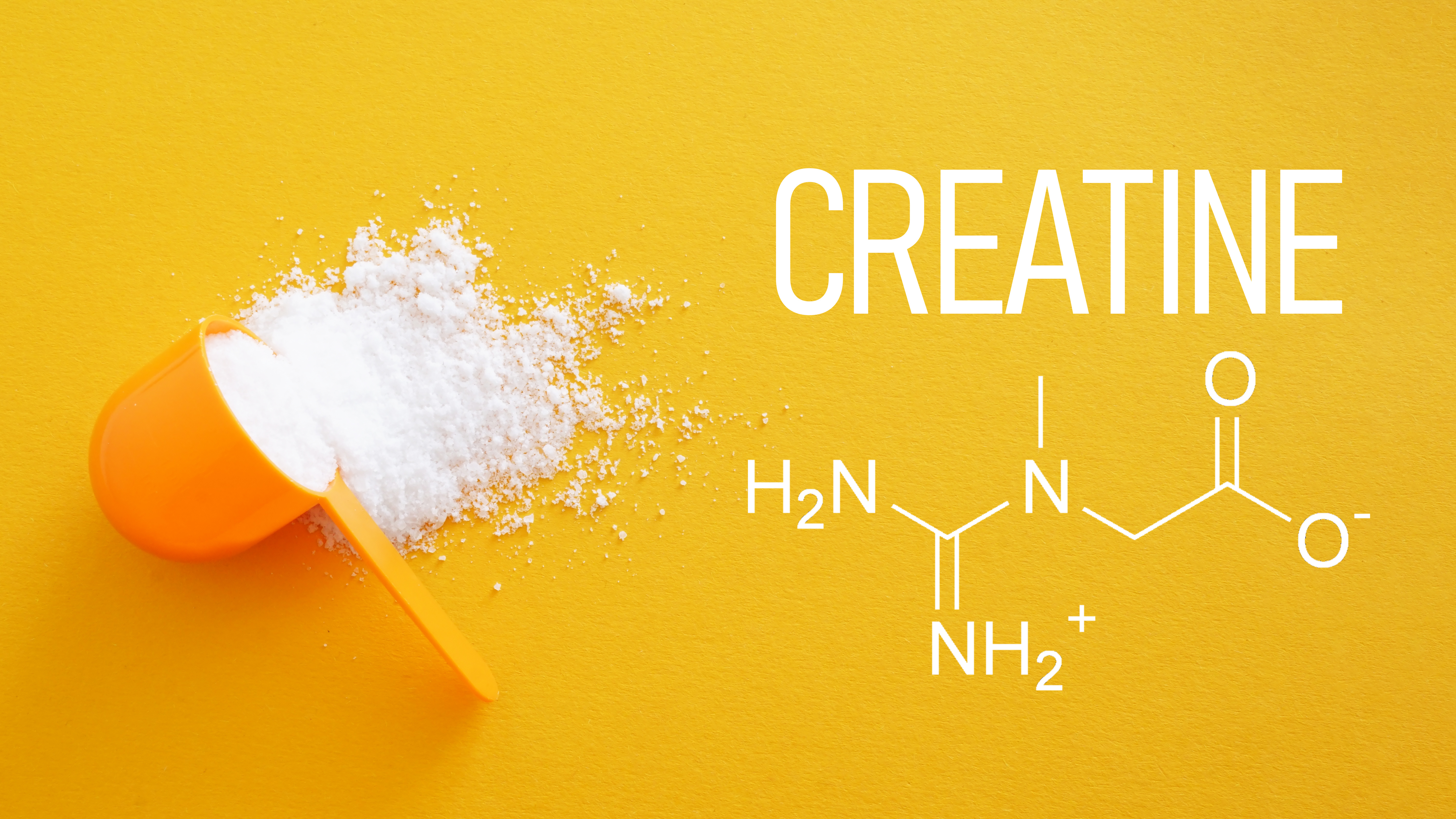 Creatine in Packaged Baked Goods and Confections: What Brands Need to Know