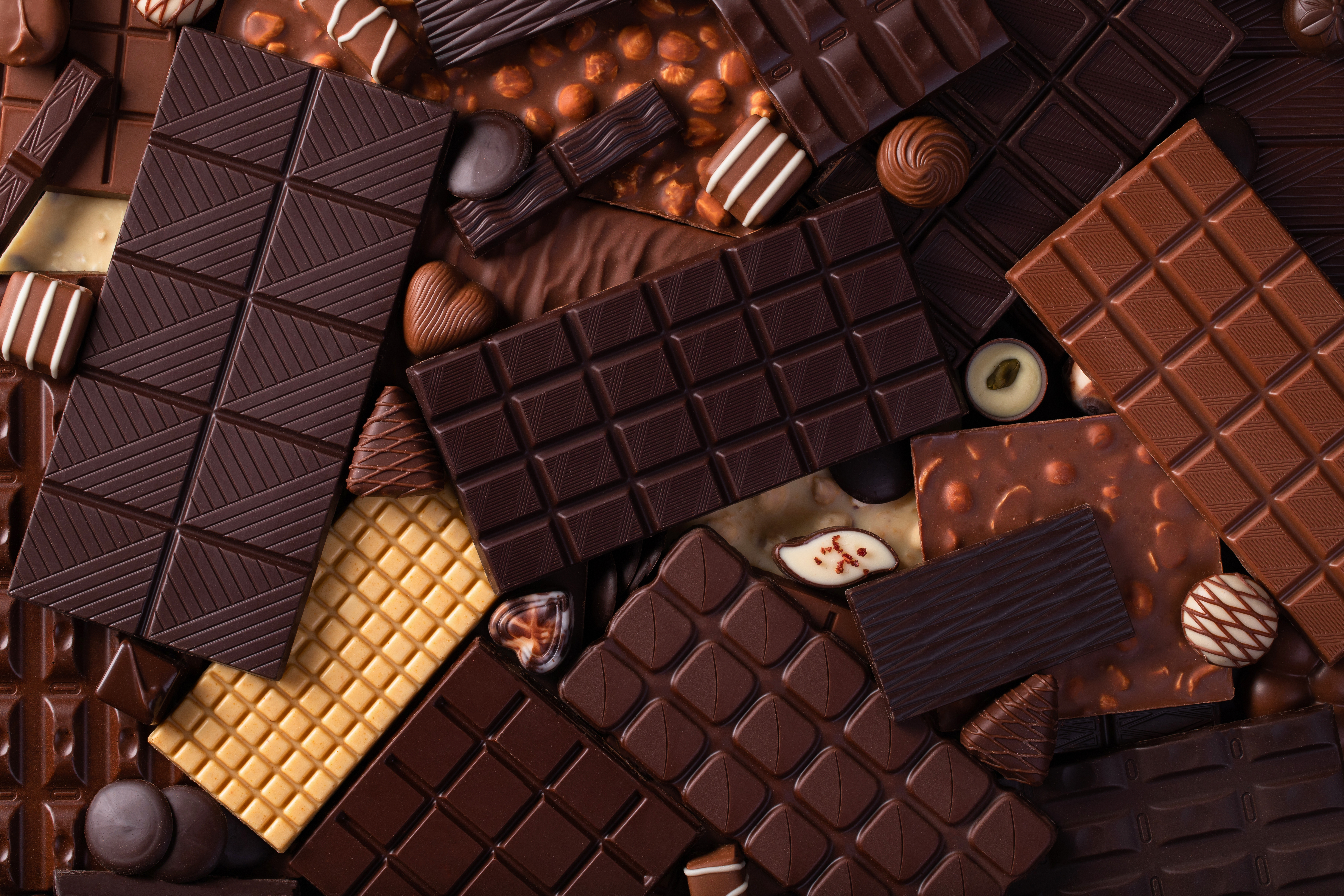 Chocolate Manufacturing Equipment: Choosing the Right Tools for Tempering, Enrobing, Molding, Filling, and Cooling